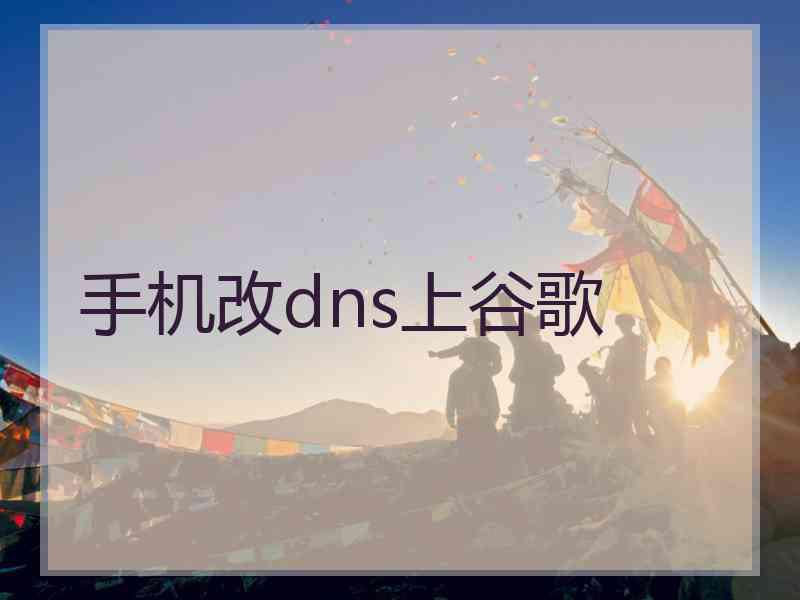 手机改dns上谷歌