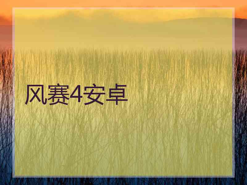 风赛4安卓