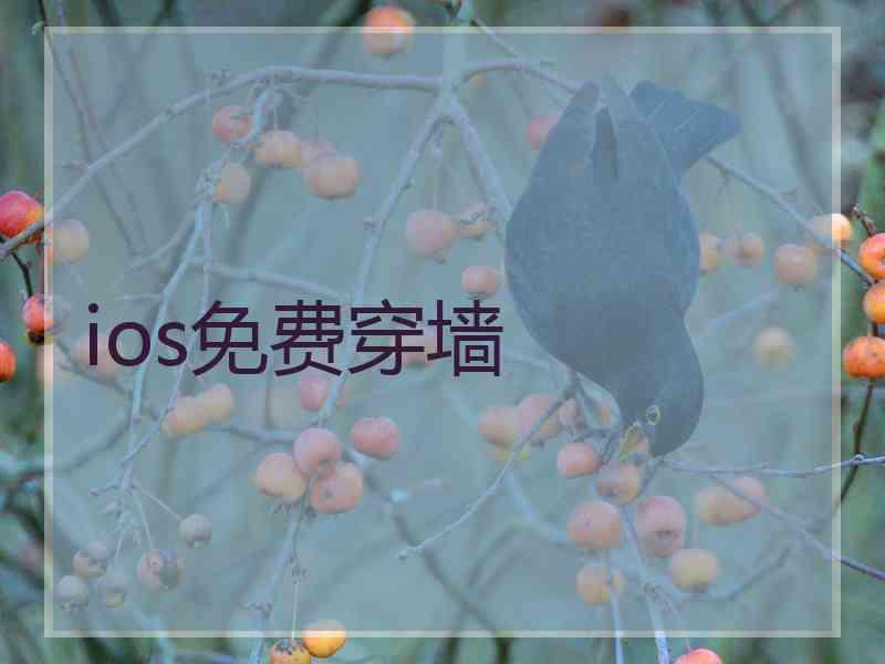 ios免费穿墙