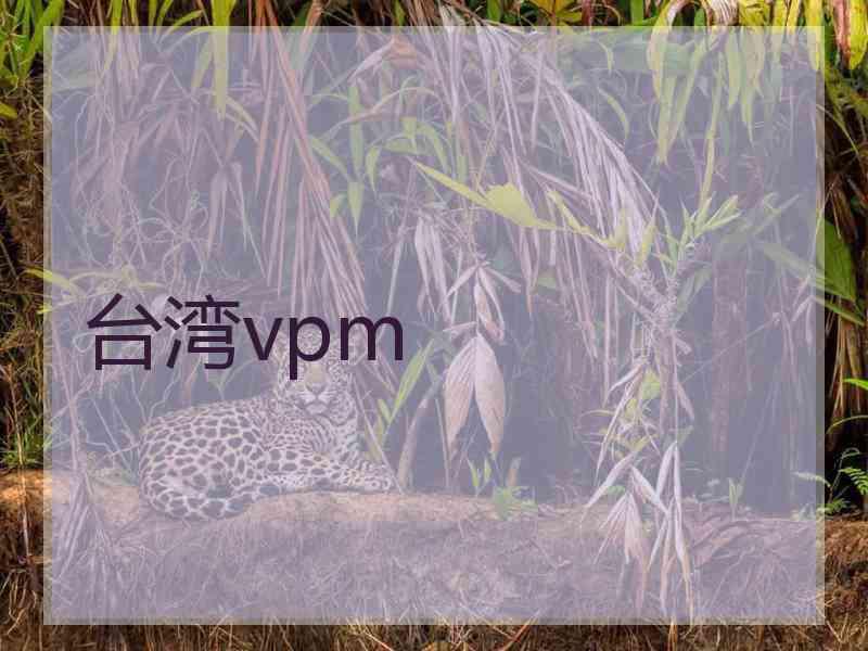 台湾vpm