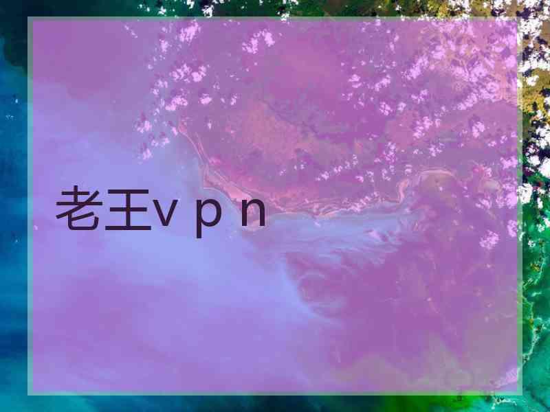 老王v p n