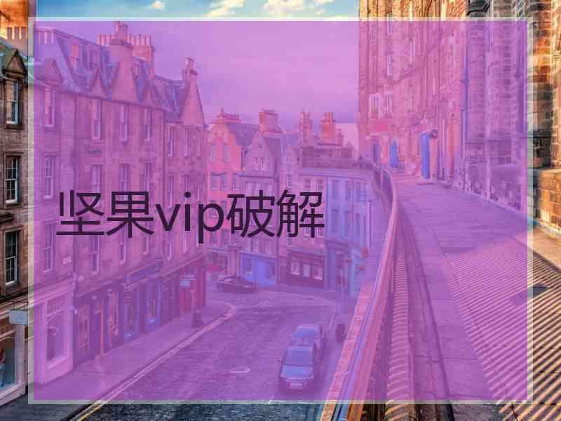 坚果vip破解