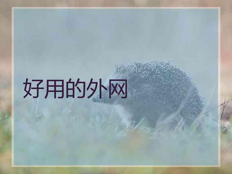 好用的外网