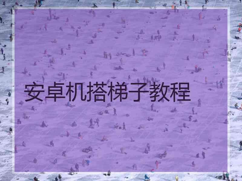 安卓机搭梯子教程