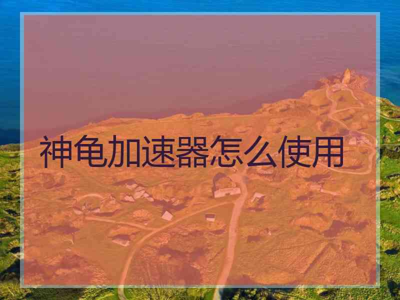神龟加速器怎么使用