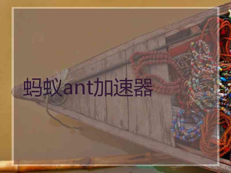 蚂蚁ant加速器