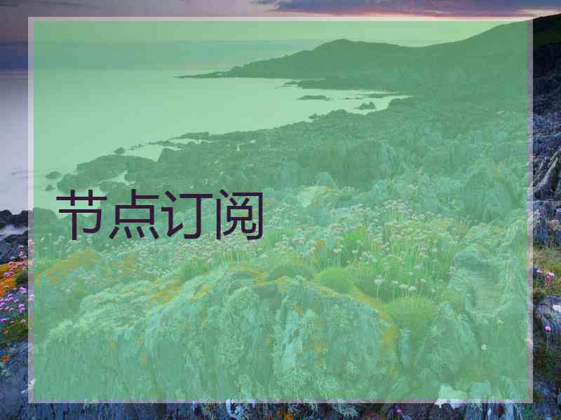 节点订阅