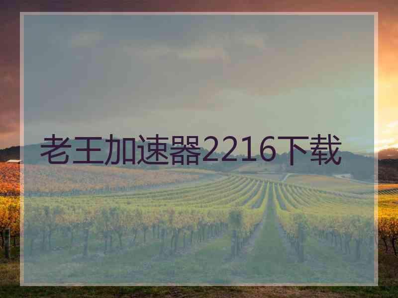 老王加速器2216下载