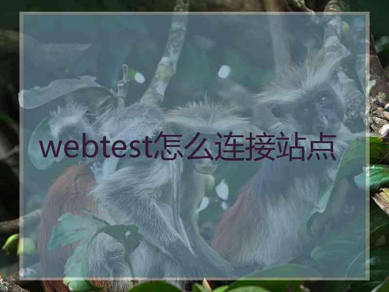 webtest怎么连接站点