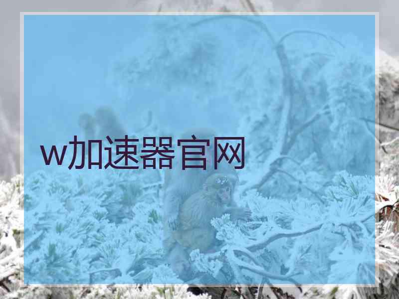 w加速器官网