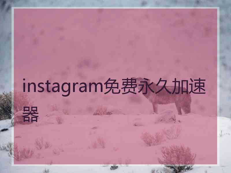 instagram免费永久加速器