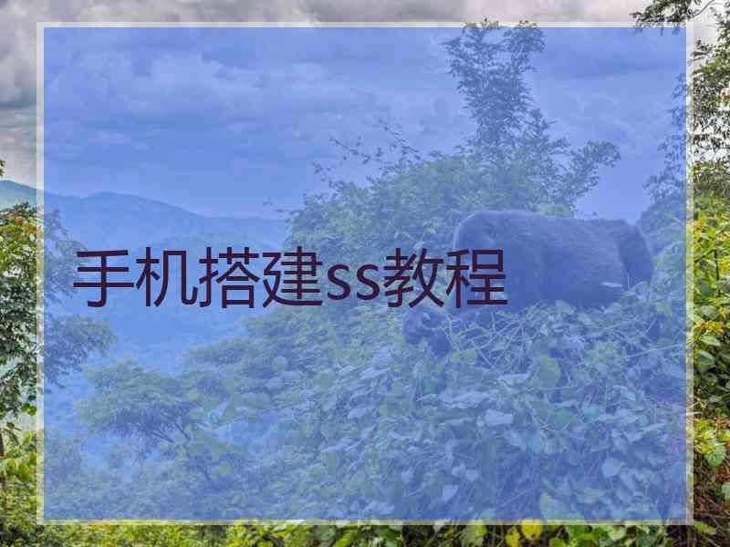 手机搭建ss教程