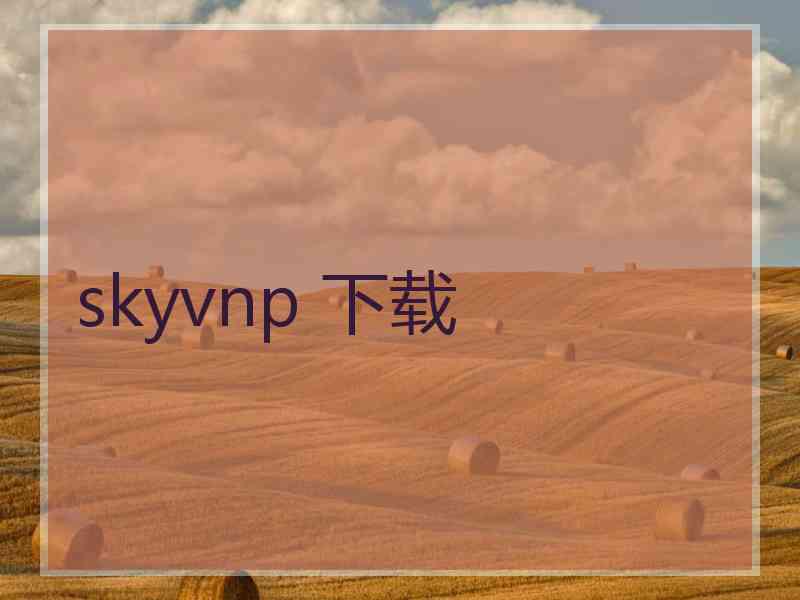 skyvnp 下载