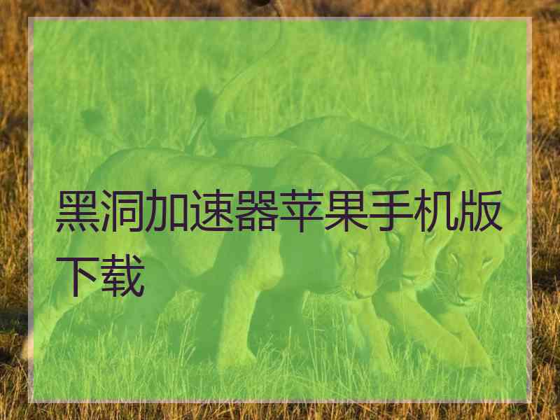 黑洞加速器苹果手机版下载
