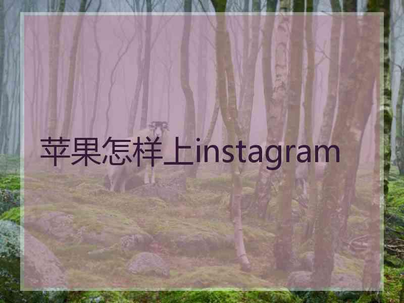 苹果怎样上instagram