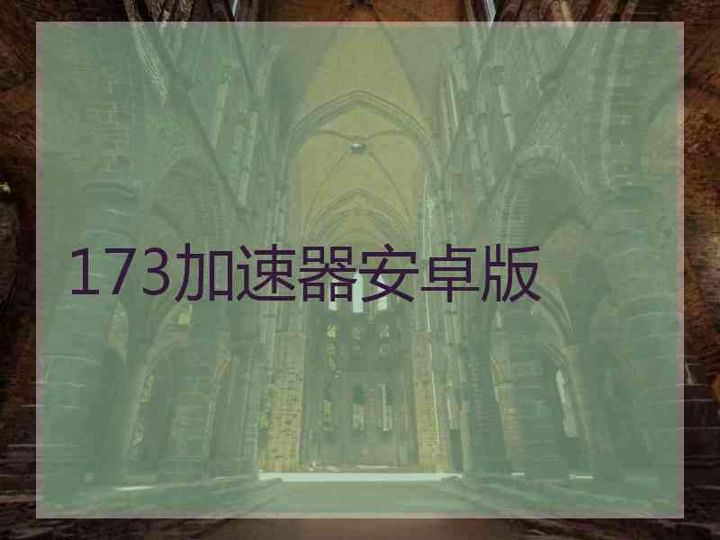 173加速器安卓版